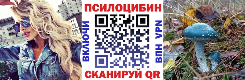 Псилоцибиновые грибы Magic Shrooms  Жуковка 