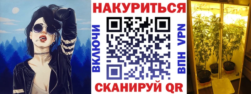 сайты даркнета официальный сайт  гидра как войти  Жуковка  купить наркотик  Бошки Шишки Amnesia 